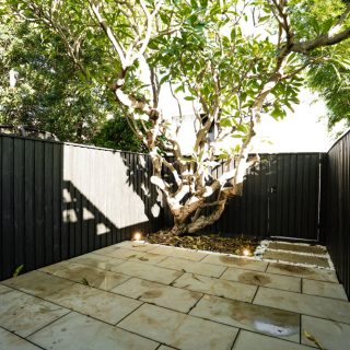 DSC06686